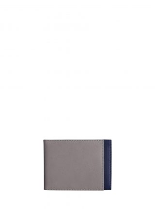 CREAM TYPE 5 wallet in grey calfskin leather | TSATSAS
