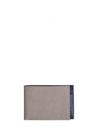 CREAM TYPE 6 wallet in grey calfskin leather | TSATSAS